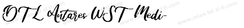 DTL Antares WST Medi字体转换